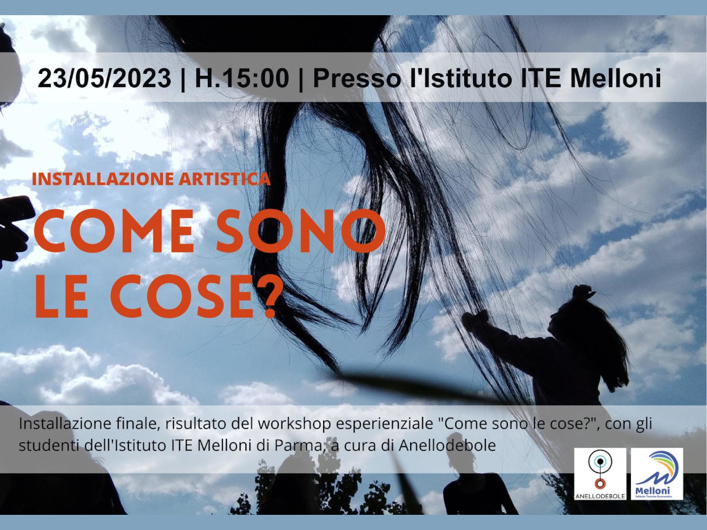 come sono le cose